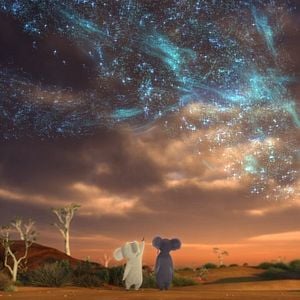 Foto Outback - Uma Galera Animal