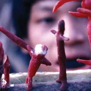 Foto Segredos da Tribo