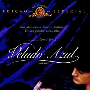 Foto Veludo Azul