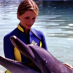 Foto O Anel da Luz Eterna