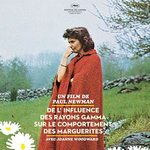 Foto O Preço da Solidão