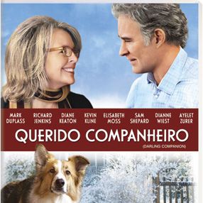 Foto Querido Companheiro