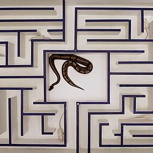 Foto Tudo Acontece em Nova York