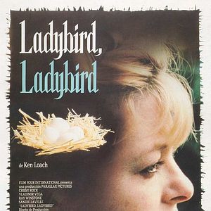 Foto Ladybird, Ladybird