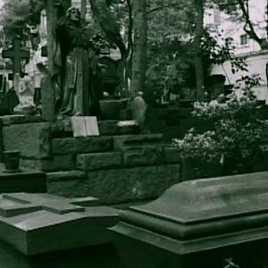 Foto Mundo Invisível