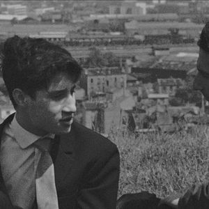 Foto O Encantador Mês de Maio