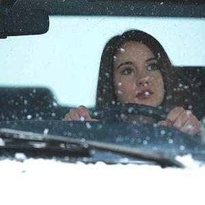 Foto Pássaro Branco na Nevasca