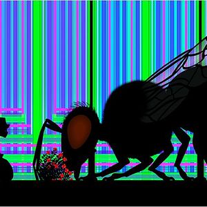 Foto Contos da Noite