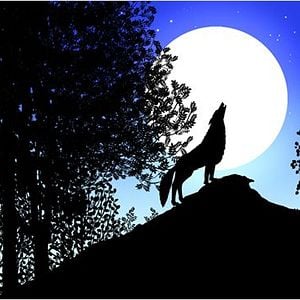 Foto Contos da Noite