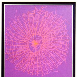 Foto A Estratégia da Aranha