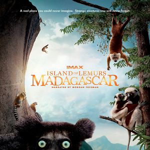 Foto Ilha dos Lêmures - Madagascar