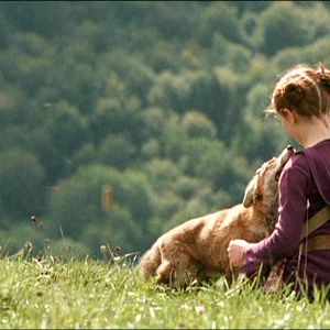 Foto Le renard et l'enfant