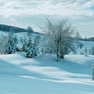 Foto Le renard et l'enfant