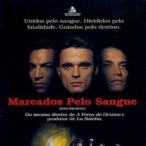 Foto Marcados Pelo Sangue
