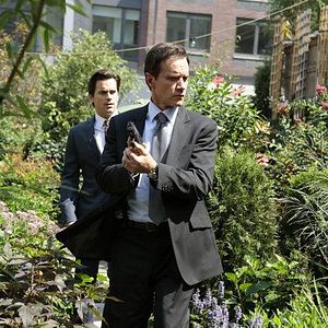 Foto Tim DeKay