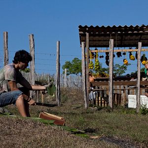 Foto A Floresta de Jonathas