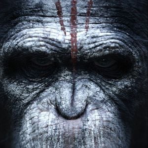 Foto Planeta dos Macacos: O Confronto