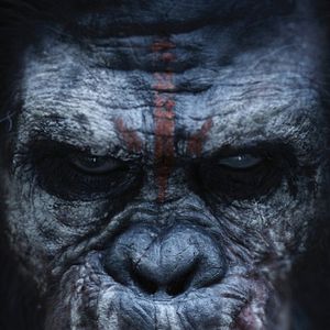 Foto Planeta dos Macacos: O Confronto