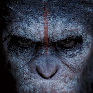 Foto Planeta dos Macacos: O Confronto