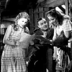 Foto De Amor Também Se Morre