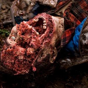 Foto Dentro do Labirinto Cinzento