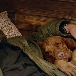 Foto Geleira Sangrenta