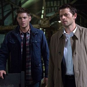 Foto Misha Collins