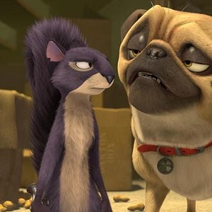 Foto O Que Será de Nozes?