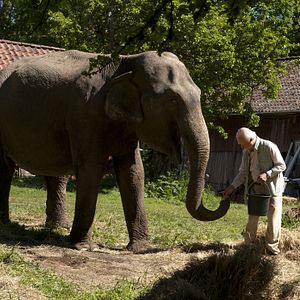 Foto O Centenário que Fugiu Pela Janela e Desapareceu