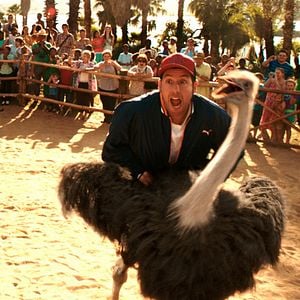 Foto Juntos e Misturados