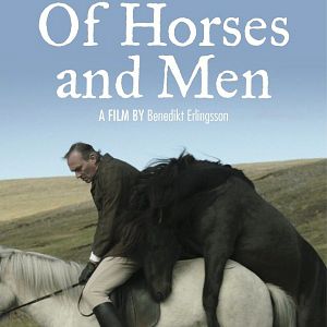 Foto Cavalos e Homens