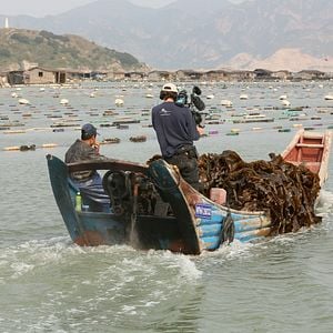 Foto Marcas da Água