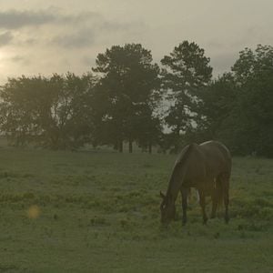Foto Arena dos Sonhos 2
