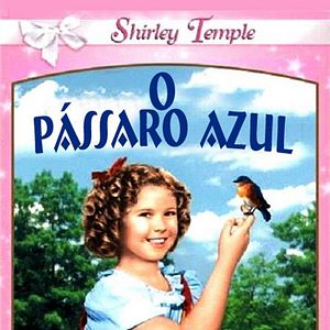 Foto O Pássaro Azul