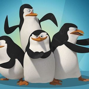 Foto Os Pinguins de Madagascar