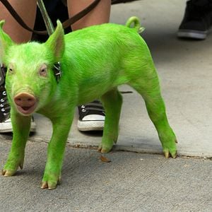 Foto Os Batutinhas: Uma Nova Aventura