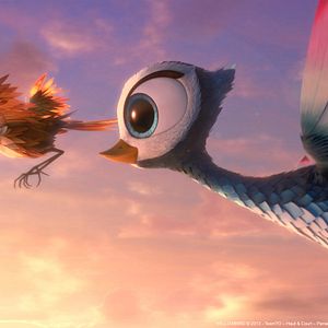 Foto O Passarinho Amarelo