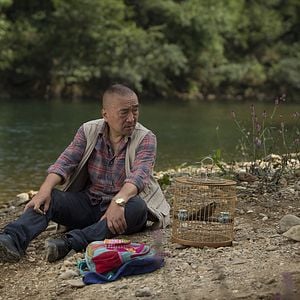 Foto Le Promeneur d'oiseau