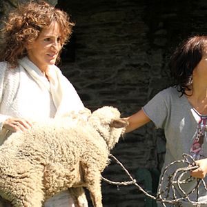 Foto El sexo de las madres