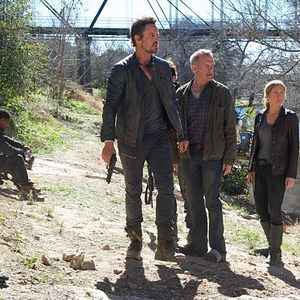 Foto Stephen Collins