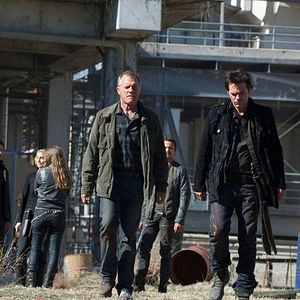 Foto Stephen Collins