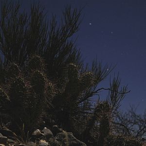 Foto O Impenetrável