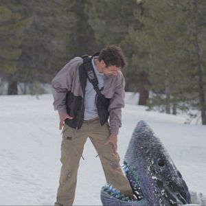 Foto Avalanche de Tubarões