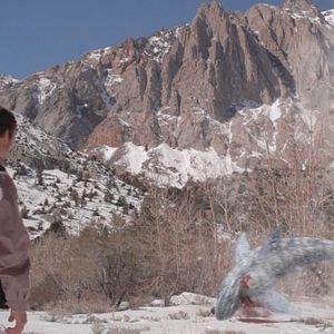 Foto Avalanche de Tubarões