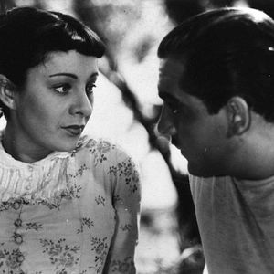 Foto Um Dia no Campo