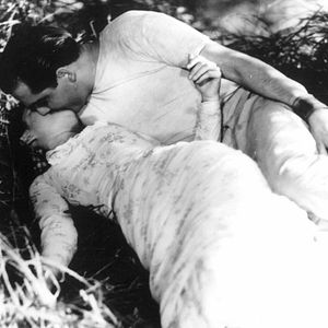 Foto Um Dia no Campo