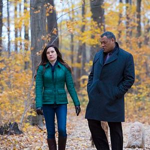 Foto Caroline Dhavernas