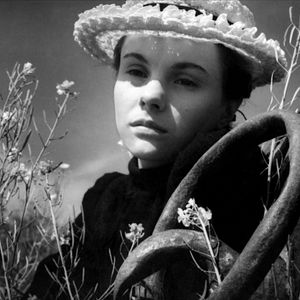 Foto Pattes blanches