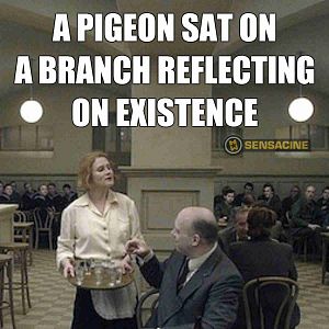 Foto Um Pombo Pousou num Galho Refletindo sobre a Existência