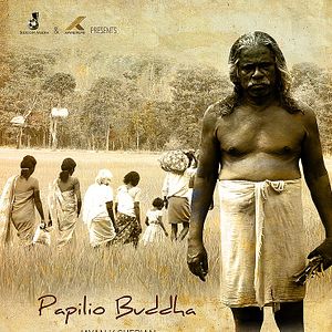 Foto Papilio Buddha